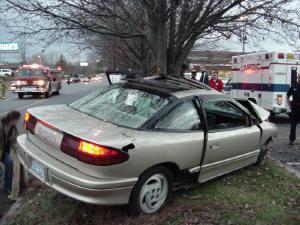 Car vs. Tree!