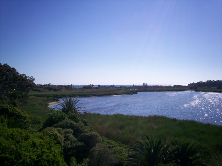 Backyard in Carlsbad