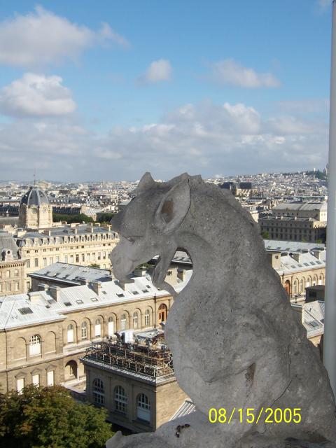 Photo of Paris taken from Notre-Dame