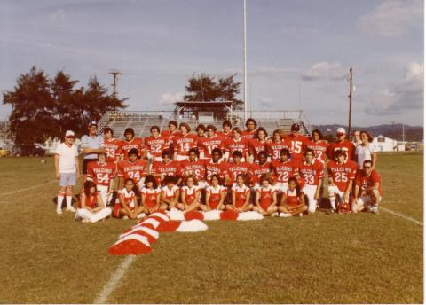 Falcons 1982