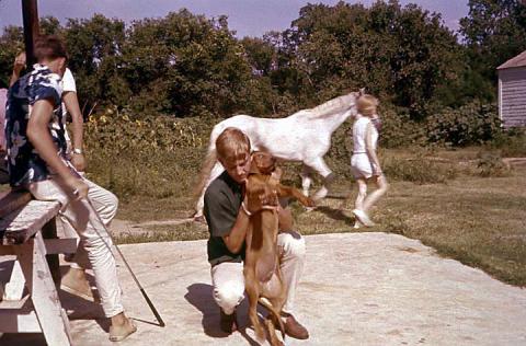 Wagon Wheel Mid 60's