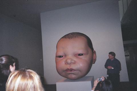 Baby head