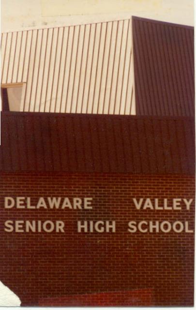 Delaware Valley High School Class of 1974 Reunion - Delaware Valley Graduates