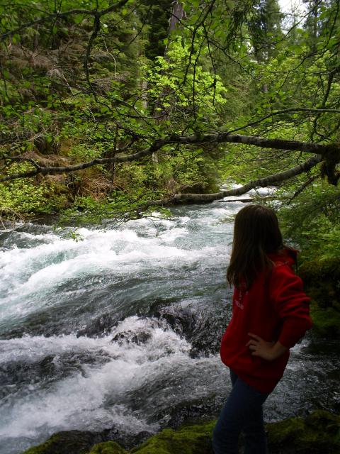 sahalie falls