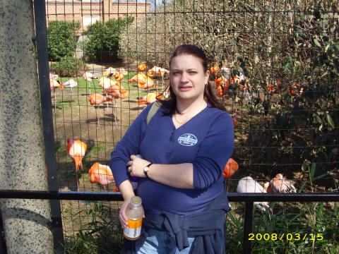 me@dc zoo 3/08