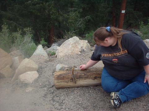 chipmunks Estes Park