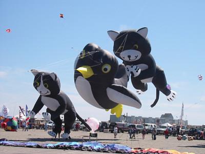 cat & penquin kites