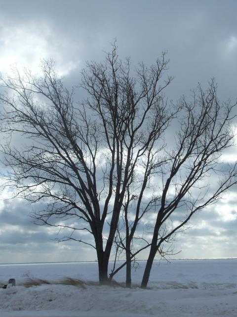 lake michigan 2007