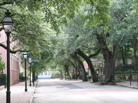 20050806 CofC 41