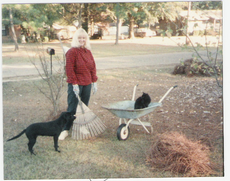 June trying to rake the yard