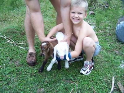 Hunter and goats