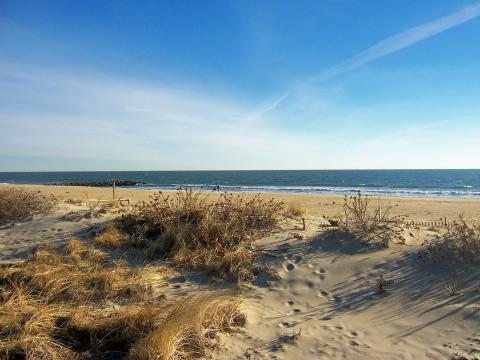 A Quiet Beach