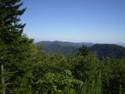 Great Smoky Mountians - Live near