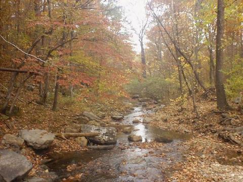 lake catherine stream