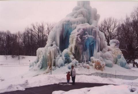 Veal Ice Tree, Acton Indiana