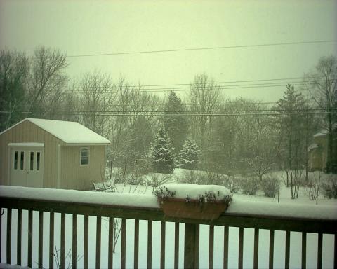 Feb 2007 Snow