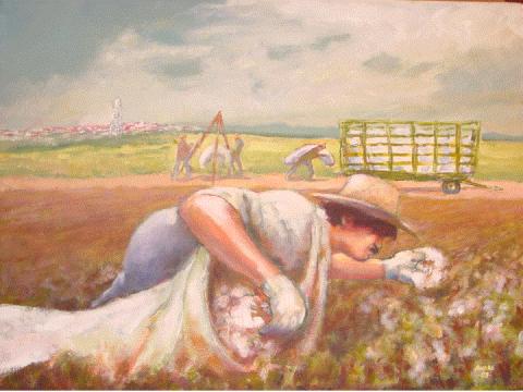 summer cotton picker