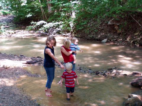 Wading in the creek