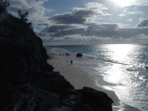 bermuda beach cathy run