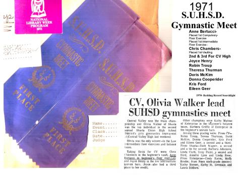 SM1971 Gymnastics ribbons