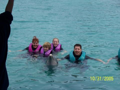 family dolphin swim