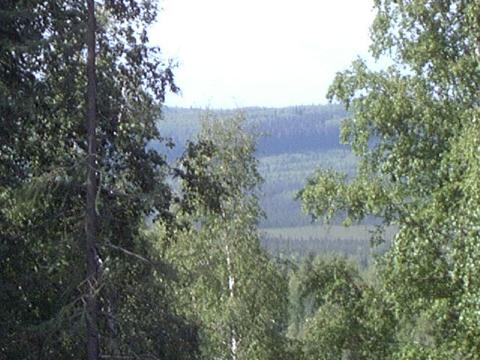 foothills north of fairbanks, alaska