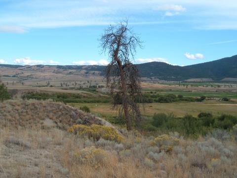 View - front window