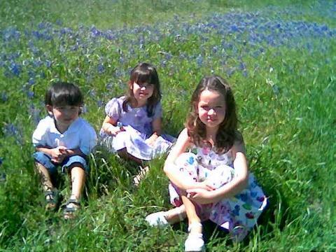 BLUEBONNETS