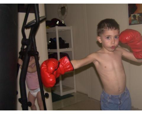 brandon boxing