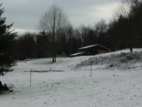 East View from house