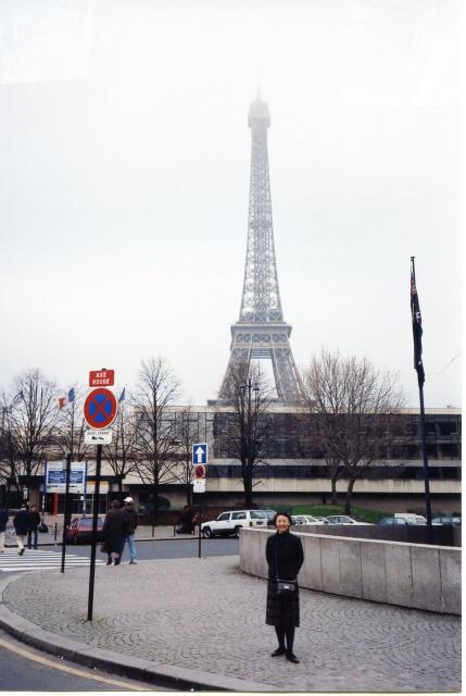 paris E tower ws013