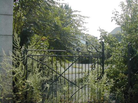 More overgrown Holy Rosary School yard