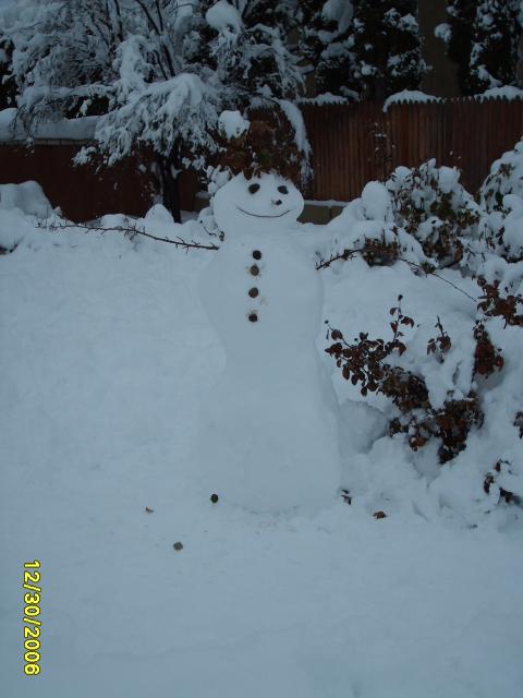 Our Snow Man Dec 30 2006 001