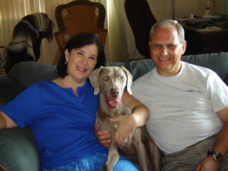 With our Belle - a 4 year old weimaraner