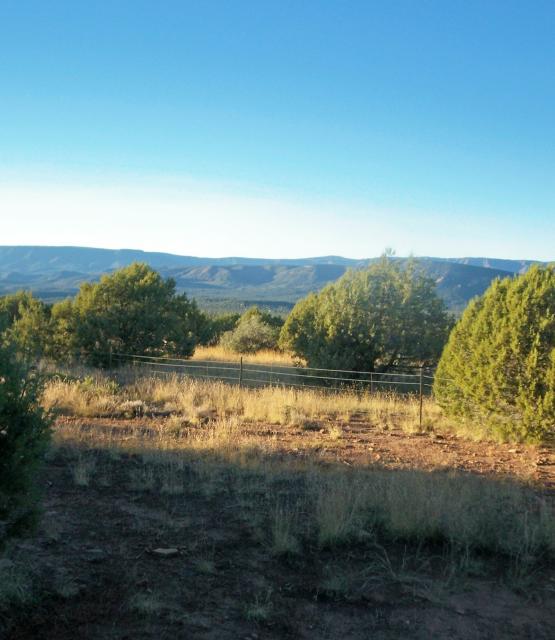 @ Shoofly Ruins @ Mogollon Rim AZ