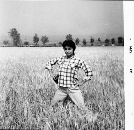 Julie_in_wheat_field_May1962