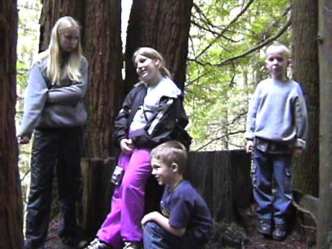 kids at red woods with friend