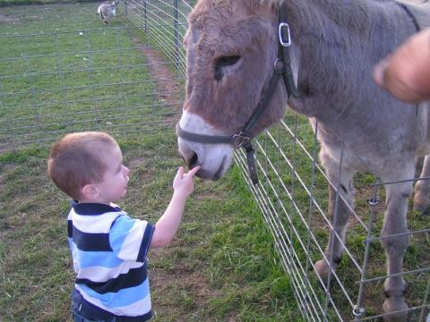 Kameron and Donkey