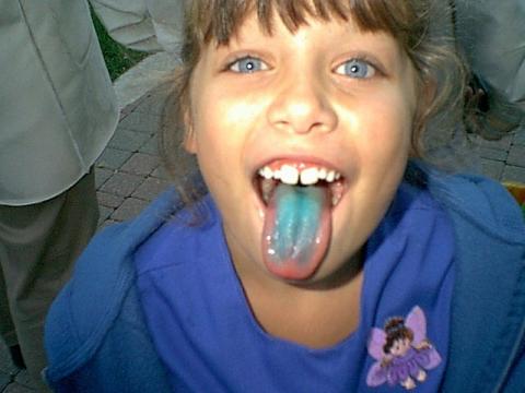 Blue tongue Tiff