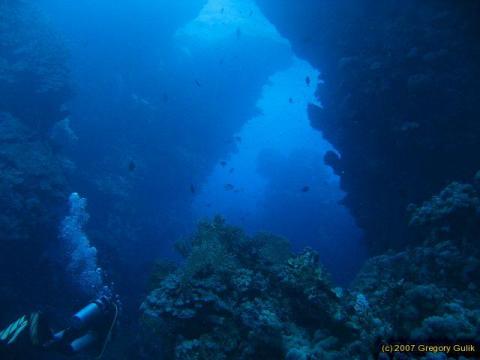 Dive site Red Sea