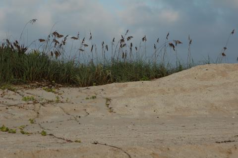 Dunes