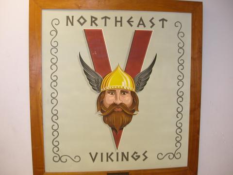 NE Viking