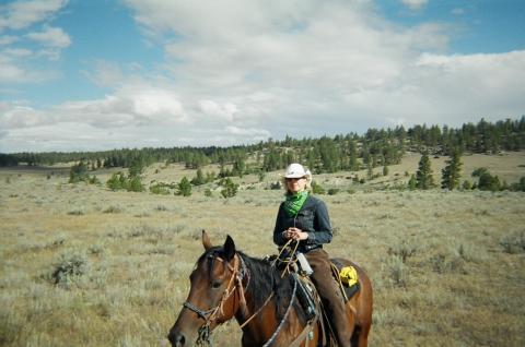 Montana Cattledrive