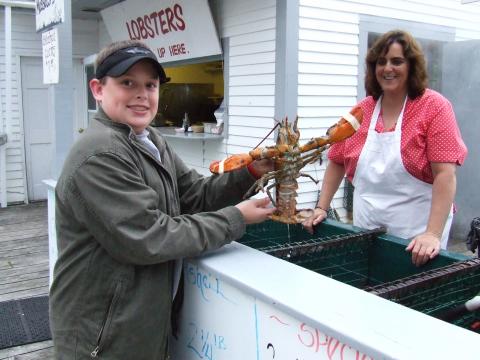 david gets a lobster