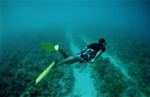 Snorkling Indonesia