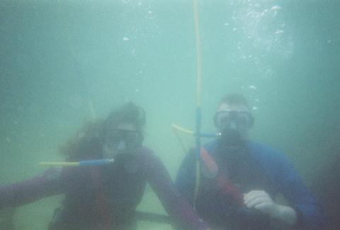 snuba dive in cabo