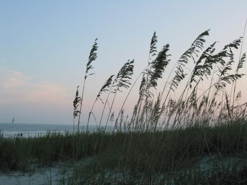 20051010 Myrtle Beach