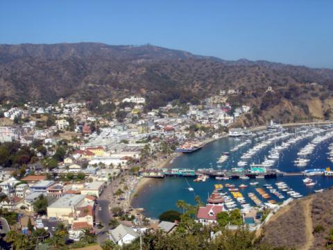 Catalina Island View