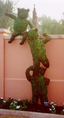 topiary joe 2003 and older pictures 171