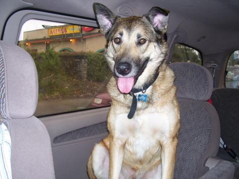 rainer in car